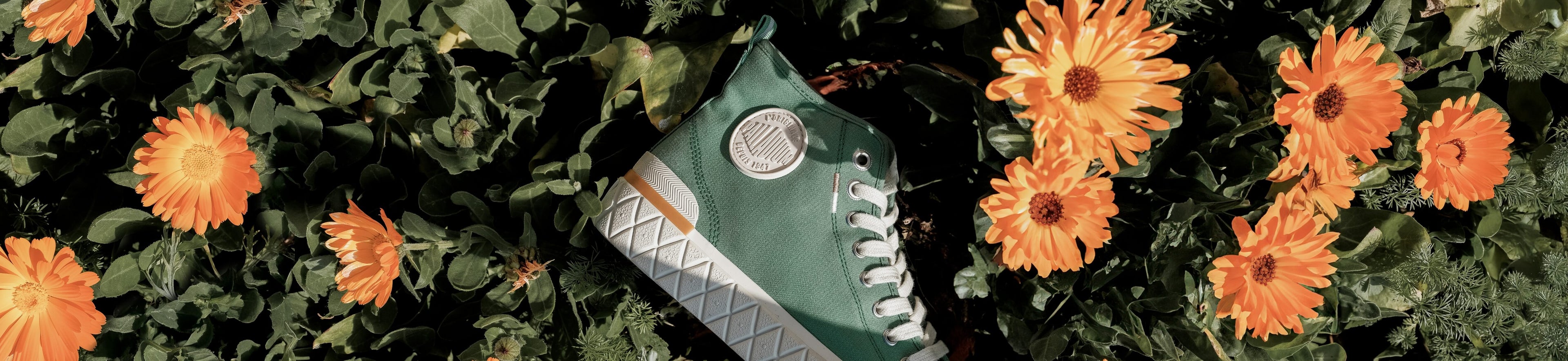 Image of the Palladium Palla Ace Chukka in a field of flowers